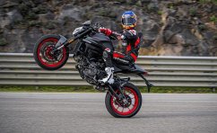 DUCATI Monster +