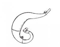 Koleno výfuku chrom TM RACING MX/EN na 250/300 2Takt rok 2015+  27258.15