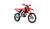 CRF 300 RX ENDURO s TP