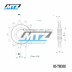 Řetězové kolečko TM250+300+4T