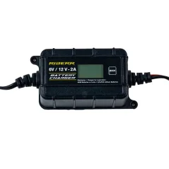 Riderr Battery Charger Pulse2