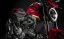 DUCATI Monster +