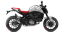DUCATI Monster