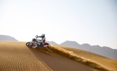 DUCATI DesertX bílý