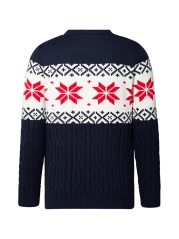 Sweater Oracle Red Bull Racing RBR25280