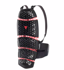 Chránič páteře DAINESE PRO-ARMOR BACK SHORT 2.0 černý